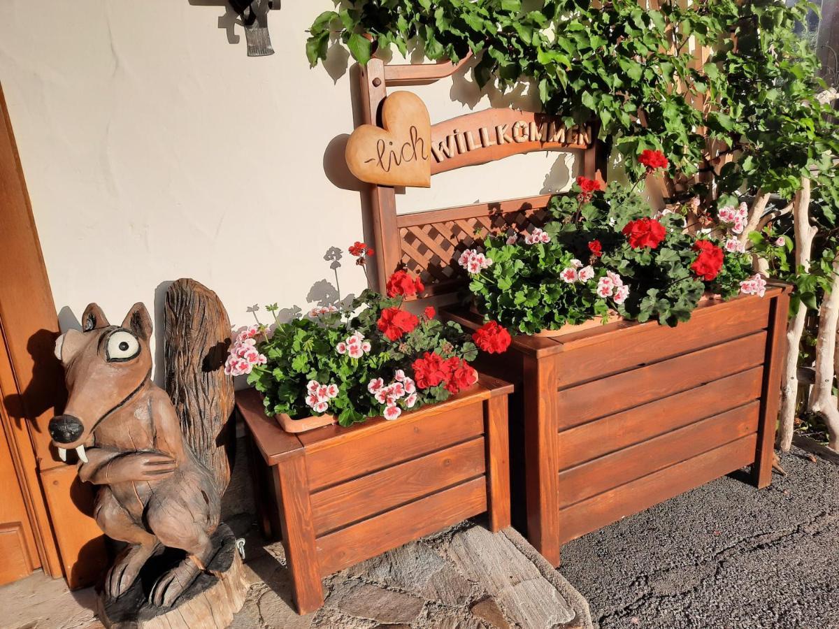 Pension Aberger Saalbach-Hinterglemm Extérieur photo
